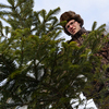 По словам Александра Иванова, студенты в течение года ухаживают за деревьями -  полют, культивируют, удобряют, формируют крону — newsvl.ru