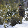 Новогодняя ель в 1,5-2 метра обойдется в 800 рублей — newsvl.ru