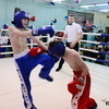 В Кик-боксинг бьют руками и ногами — newsvl.ru