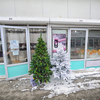 Новогодние елки буквально всех цветов — newsvl.ru