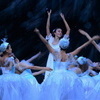 В постановке принимает участие более 70 балетных танцовщиков — newsvl.ru