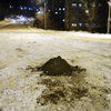 Поработала пескоструйная машина. Баляева — newsvl.ru