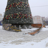 В этом году елку основательно укрепили! — newsvl.ru