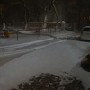 Снегопад началс яво Владивостоке в ночь на вторник — newsvl.ru