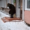 Вилкова, 24.1 — newsvl.ru