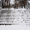 В первую очередь важно расчитить лестницы  — newsvl.ru