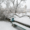Упавшее дерево возле нижней остановки фуникулёра — newsvl.ru