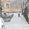 Жильцы домов чистят снег своими силами — newsvl.ru