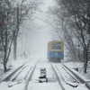 Трамваи продолжают ходить несмотря на непогоду — newsvl.ru