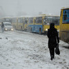 Горожане стараются побыстрей забежать в теплый автобус — newsvl.ru