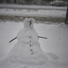 Если вас отпустили с работы пораньше, можно слепить снеговика! — newsvl.ru