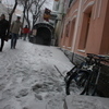 Велосипед - отличный транспот для такой погоды. Только если на зимней резине — newsvl.ru