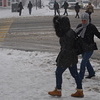 Несмотря на непогоду, все торопятся по делам - их никто не отменял — newsvl.ru
