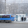 Несмотря на сложные погодные условия, весь пассажирский транспорт краевого центра работает в штатном режиме — newsvl.ru