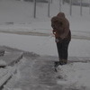 С утра во Владивостоке идет мокрый снег — newsvl.ru