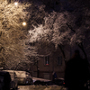 Владивосток встретил зиму обильным снегопадом. Район Чуркина — newsvl.ru