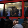 Люди торопятся на работу — newsvl.ru