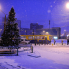 Елочка в снегу создает новогоднее настроение — newsvl.ru