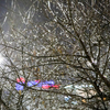 1 декабря на Владивосток обрушится снегопад — newsvl.ru