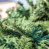 В ближайший месяц во Владивостоке появятся и другие новогодние деревья, включая традиционную красавицу на центральной площади — newsvl.ru