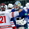 Вратари обменялись сочувствующими рукопожатием после игры — newsvl.ru