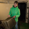 Более трех миллионов молодых трепангов теперь живут в бухте Воевода на острове Русском — newsvl.ru