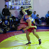 В турнире приняло участие более 170 лучших борцов со всего края — newsvl.ru