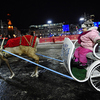Настоящие северные олени прокатили маленьких гостей вдоль всей площади — newsvl.ru