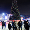 Большая городская елка сразу засветилась яркими красными и золотыми огнями — newsvl.ru