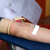 Набор необходимого количества крови проходит достаточно быстро — newsvl.ru