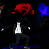 В рамках краевого фестиваля «Студенческая весна — 2013» прошел тринадцатый открытый студенческий конкурс танцевальных коллективов и отдельных исполнителей «Реверанс-2013» — newsvl.ru