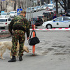 Прибывшие кинолог с собакой взрывного устройства не обнаружили — newsvl.ru
