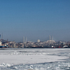 На выходе из Золотого Рога начинаются сплошные ледяные равнины — newsvl.ru