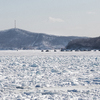 Несмотря на мороз и ветер, на льду - много рыбаков иавтомобилей — newsvl.ru