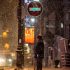 Снег во Владивосток принес циклон из Монголии — newsvl.ru