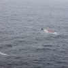 С судна удалось спастись 15 членам экипажа — newsvl.ru