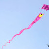 Фестиваль воздушных змеев "Небо для двоих" прошел на мысе Кунгасный во Владивостоке — newsvl.ru