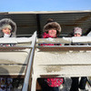 Во Владивостоке 27 января прошел мини-фестиваль воздушных змеев "Небо для всех" — newsvl.ru