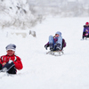      ,       — newsvl.ru