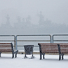 Сильный снег и ветер принес циклон во Владивосток в понедельник — newsvl.ru