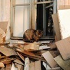 Теперь окном пользуется только кошка Мурка — newsvl.ru