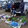 Саженцы, картошка, цветы — радость для дачника — newsvl.ru