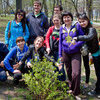 Общенациональный проект Сбербанка "Зеленый марафон" стал участником кампании "Миллиард деревьев" — newsvl.ru