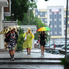Яркий зонт хотя бы немного поднимет настроение в дождливый день — newsvl.ru
