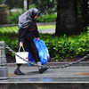 Кто-то спасается от дождя подручными средствами — newsvl.ru