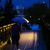 Если во Владивостоке нет дождя - это к дождю — newsvl.ru