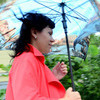 Зонты - расходный материал для владивостокцев — newsvl.ru