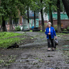 Владивосток оправляется после тайфуна «Soulik» — newsvl.ru