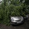 Автолюбителям не посчастливилось припарковаться рядом с отделом ЗАГС по Советскому району — newsvl.ru