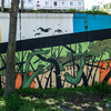 Стена на Окатовой, 18 была отдана граффитчикам под легальное самовыражение  — newsvl.ru